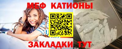 сатива Новозыбков