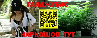 сатива Новозыбков
