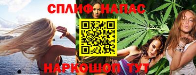 сатива Новозыбков