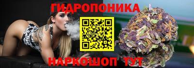 сатива Новозыбков