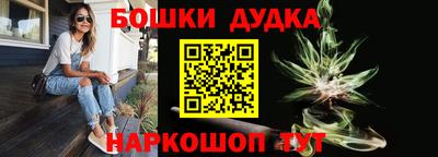 сатива Новозыбков