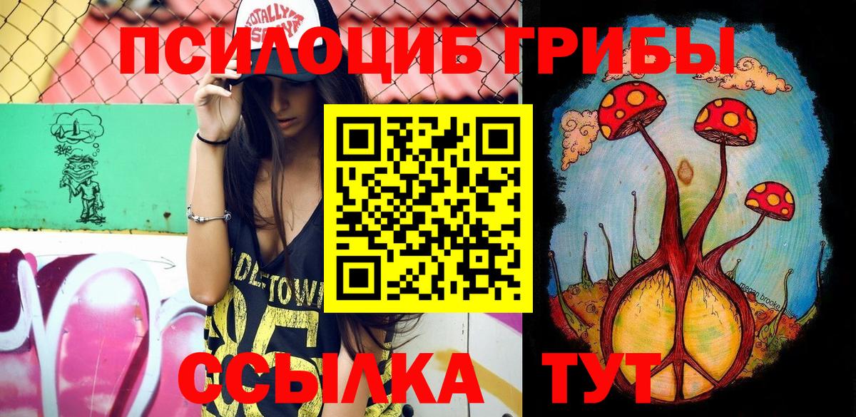 Псилоцибиновые грибы Psilocybine cubensis  Вход с VPN  Чебаркуль  дарнет шоп  Галлюциногенные грибы Cubensis 