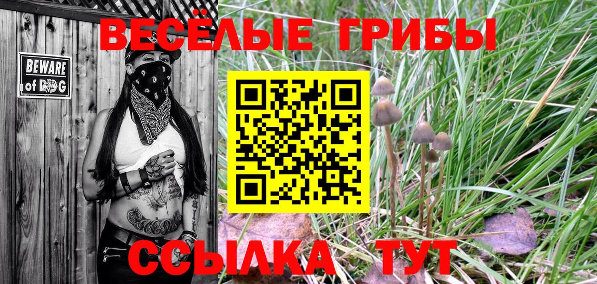 Галлюциногенные грибы MAGIC MUSHROOMS Чебаркуль
